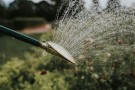 Fine Spray | Oval Brass Rose thumbnail