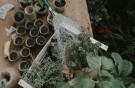Haws Fine Spray | Round Brass Rose thumbnail