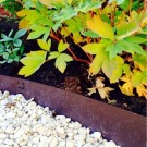 EverEdge Classic satt i Bristol Gardens I UK thumbnail