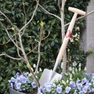 Handspade (Beskyttet design) thumbnail