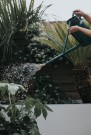 Haws Fine Spray | Round Brass Rose thumbnail
