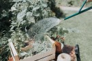 Haws Fine Spray | Round Brass Rose thumbnail