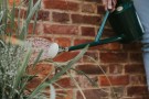 Haws Fine Spray | Round Brass Rose thumbnail