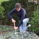 Handspade (Beskyttet design) thumbnail