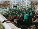 The Warley Fall - Two Gallon | 9L GRN thumbnail