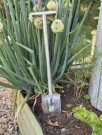 NYHET: Thornett Shovel thumbnail