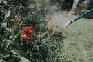 Fine Spray | Oval Brass Rose thumbnail