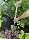Great Dixter Plantespade thumbnail